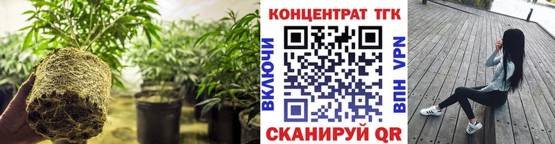 Дистиллят ТГК THC oil kraken Лабинск даркнет сайт